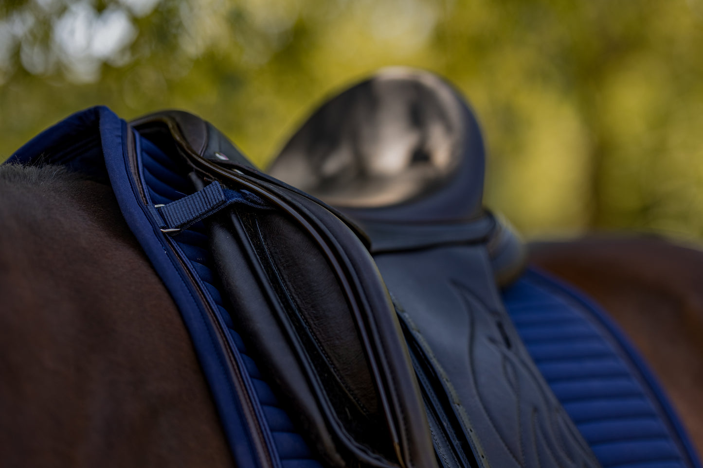 Dressurschabracke Nightwish