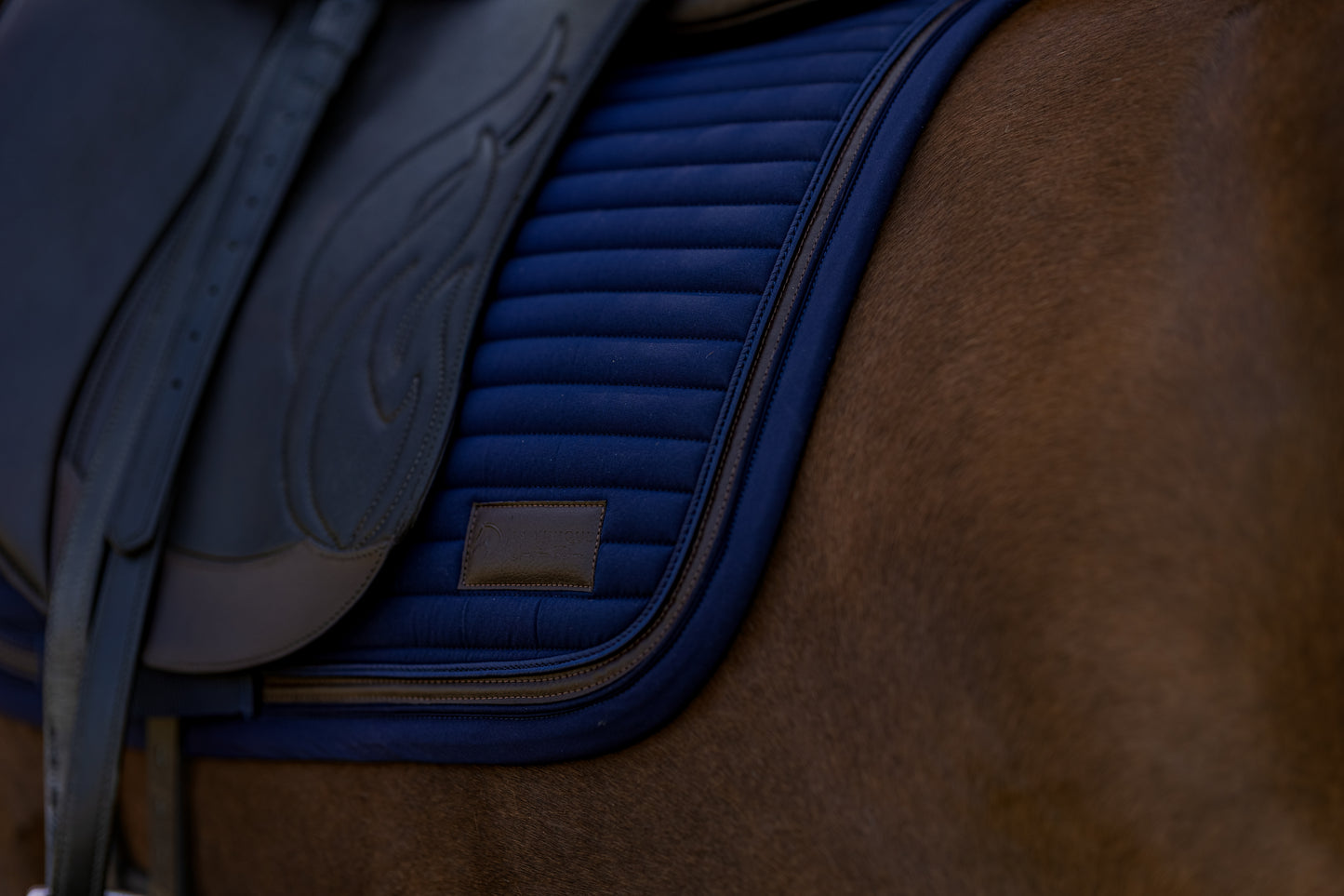 Dressurschabracke Nightwish