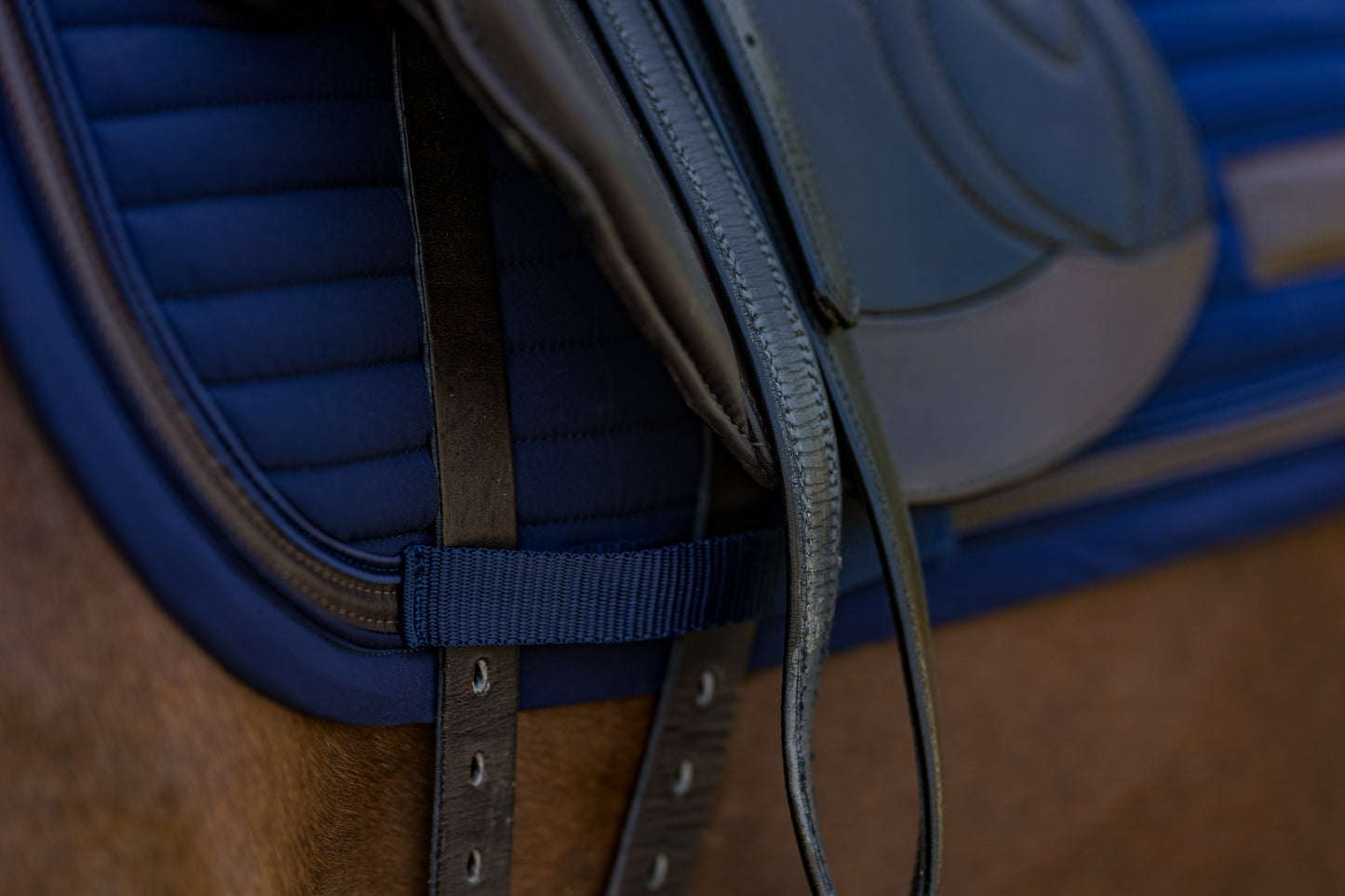 Dressurschabracke Nightwish