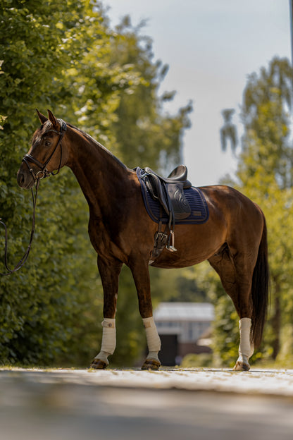 Dressurschabracke Nightwish
